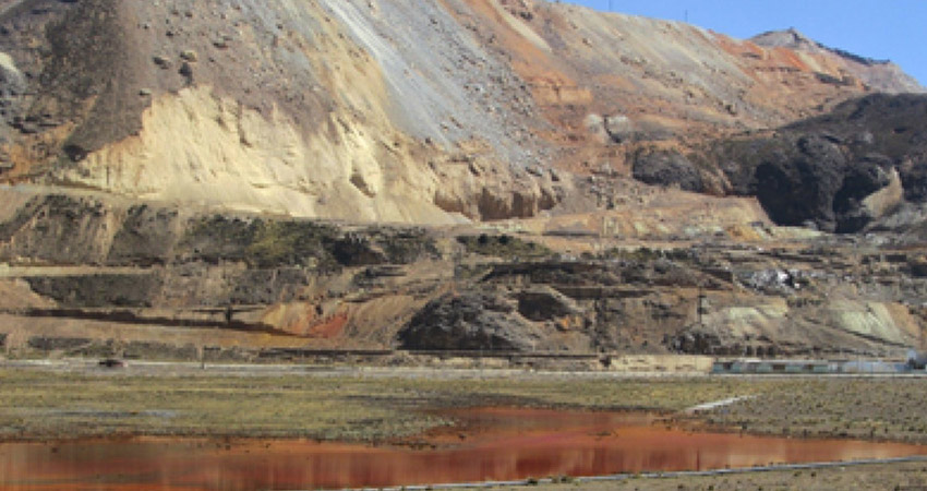 bebida que desintoxica sangre de ninios contaminada con metales 02