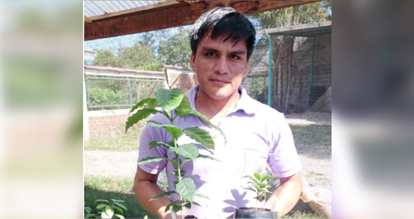 cientificos recuperan suelos cafetaleros 03