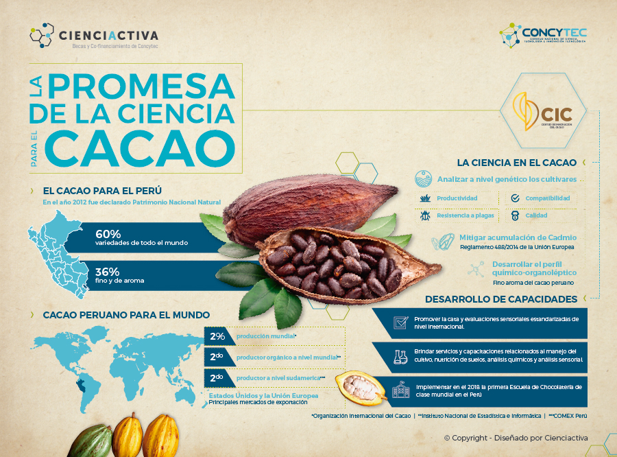 cacao ok infografia